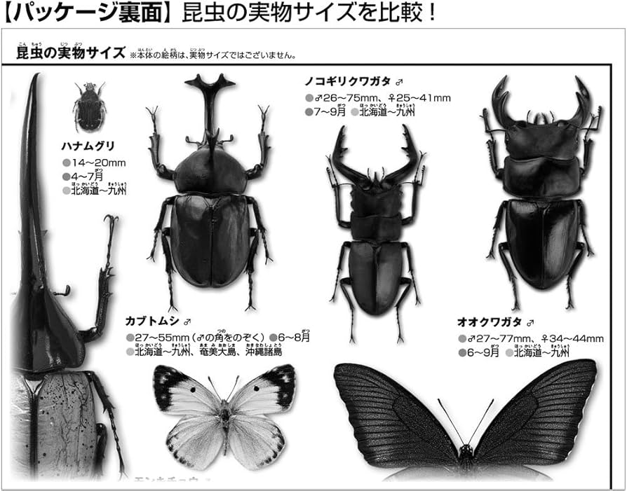 Amazon.co.jp: 150ピース ジグソーパズル 小学館の図鑑 世界の昆虫大き